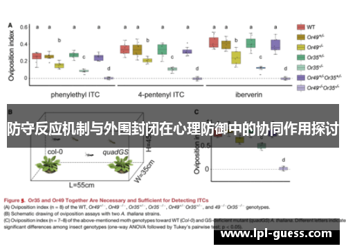 防守反应机制与外围封闭在心理防御中的协同作用探讨