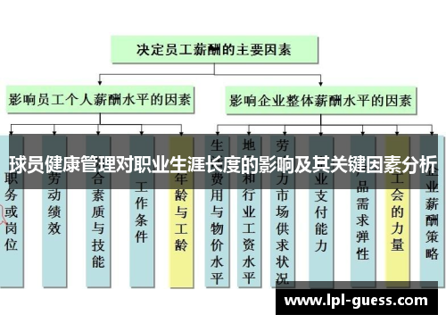 球员健康管理对职业生涯长度的影响及其关键因素分析