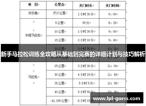 新手马拉松训练全攻略从基础到完赛的详细计划与技巧解析
