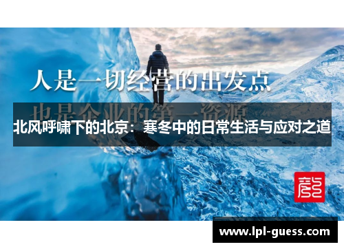 北风呼啸下的北京：寒冬中的日常生活与应对之道
