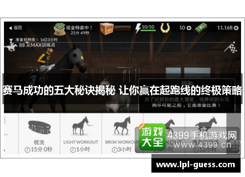 赛马成功的五大秘诀揭秘 让你赢在起跑线的终极策略
