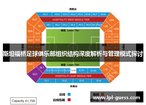 斯坦福桥足球俱乐部组织结构深度解析与管理模式探讨